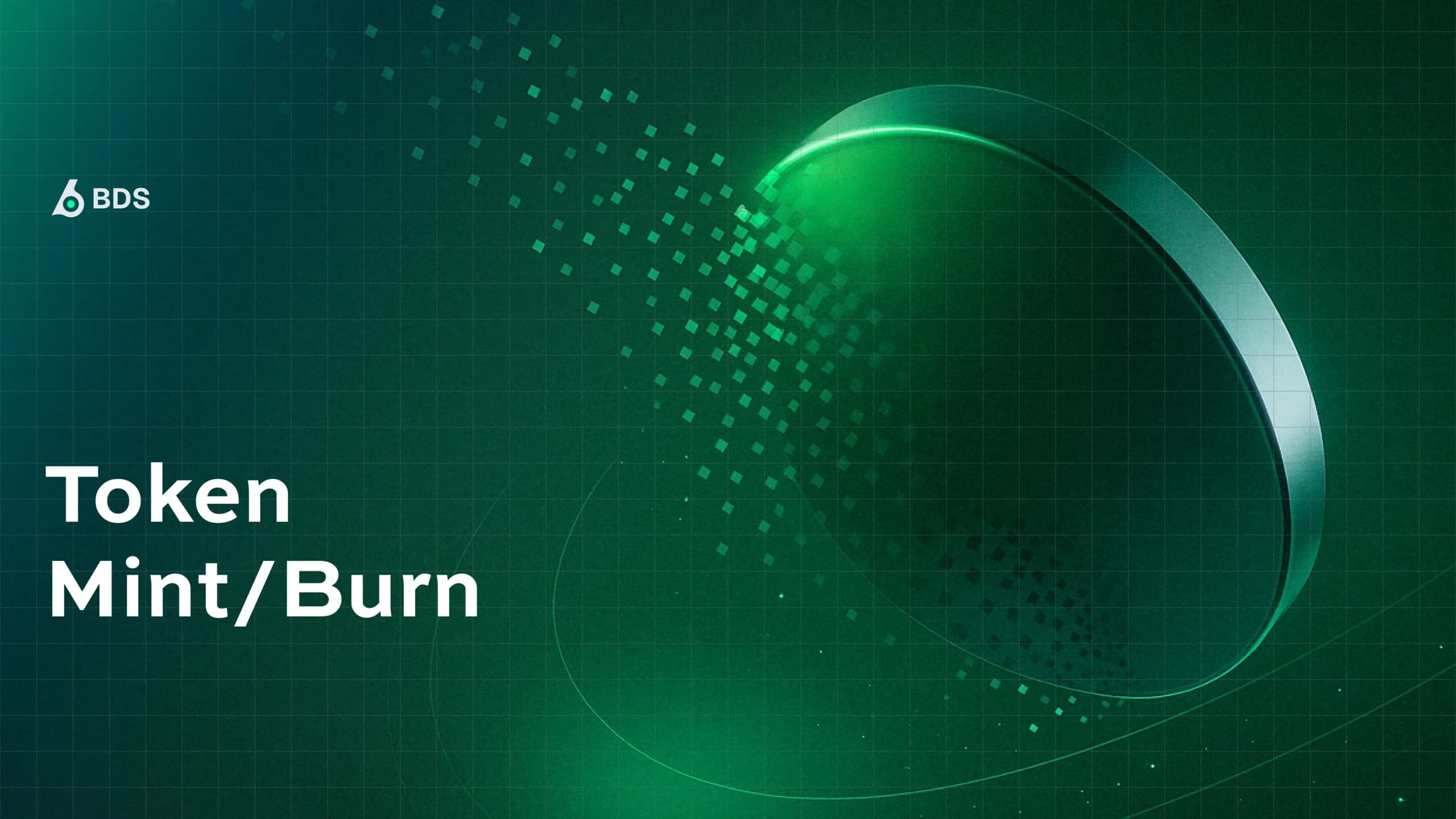 New API: Token — Mint/Burn