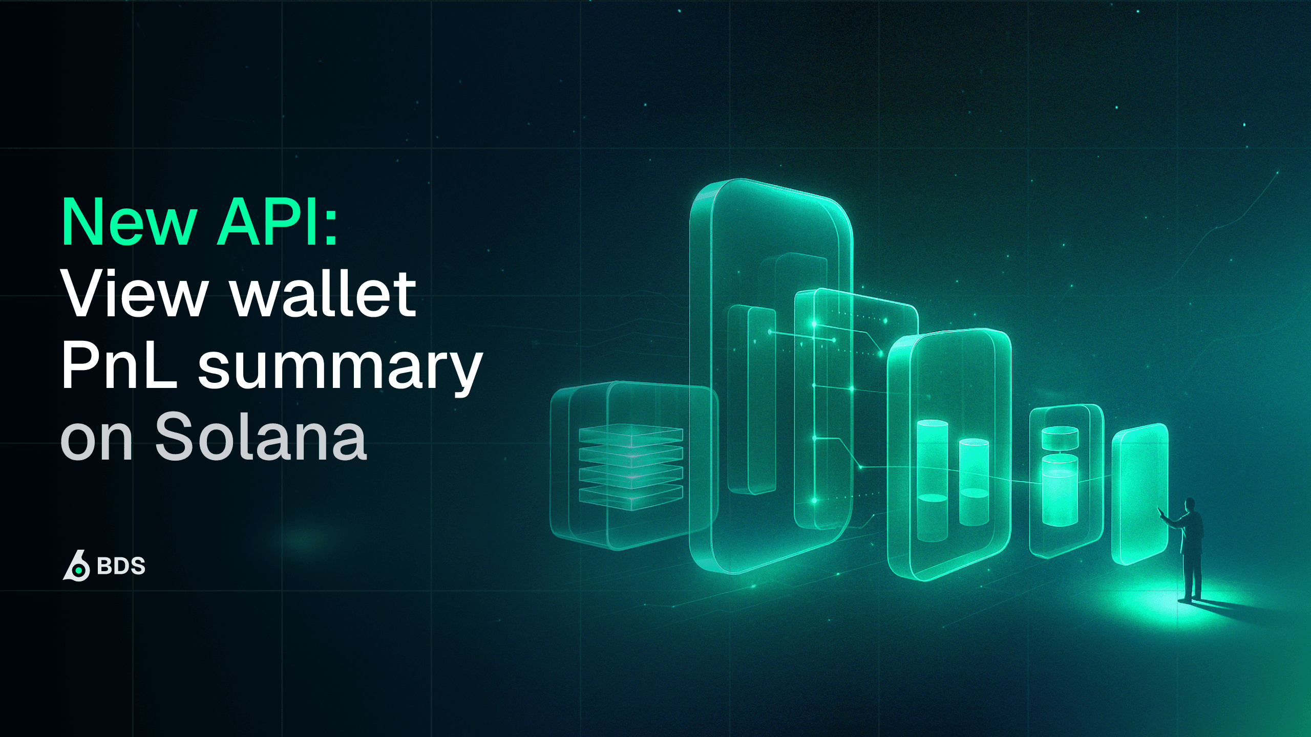 Wallet PnL Summary: Evaluate Complete Wallet Performance on Solana