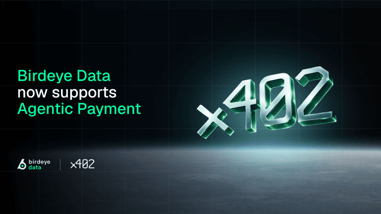 introducing-x402-on-birdeye-data-pay-per-request-api-access