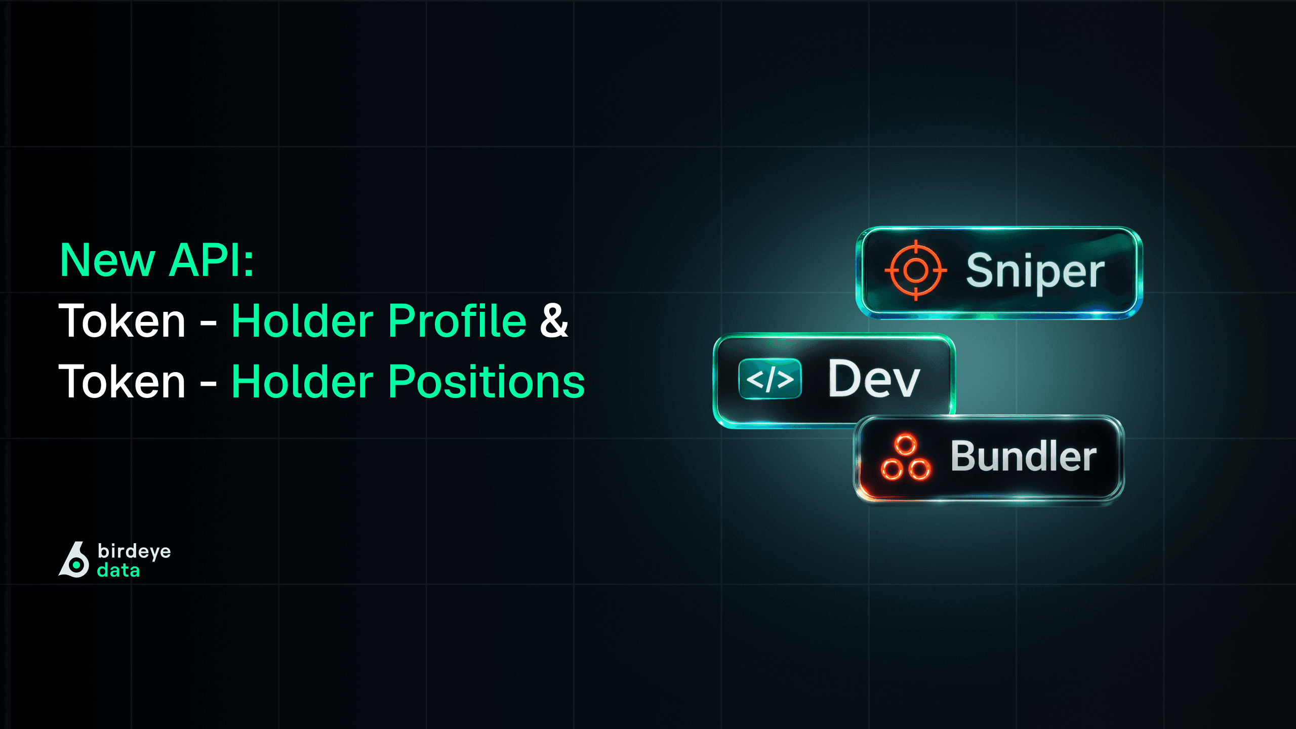 Token – Holder Profile & Token – Holder Positions: Complete Holder Intelligence on Solana