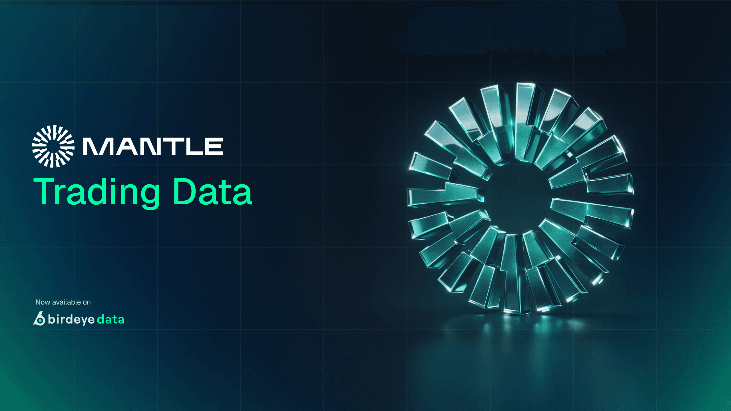 Birdeye Data Services Now Supports Mantle Network
