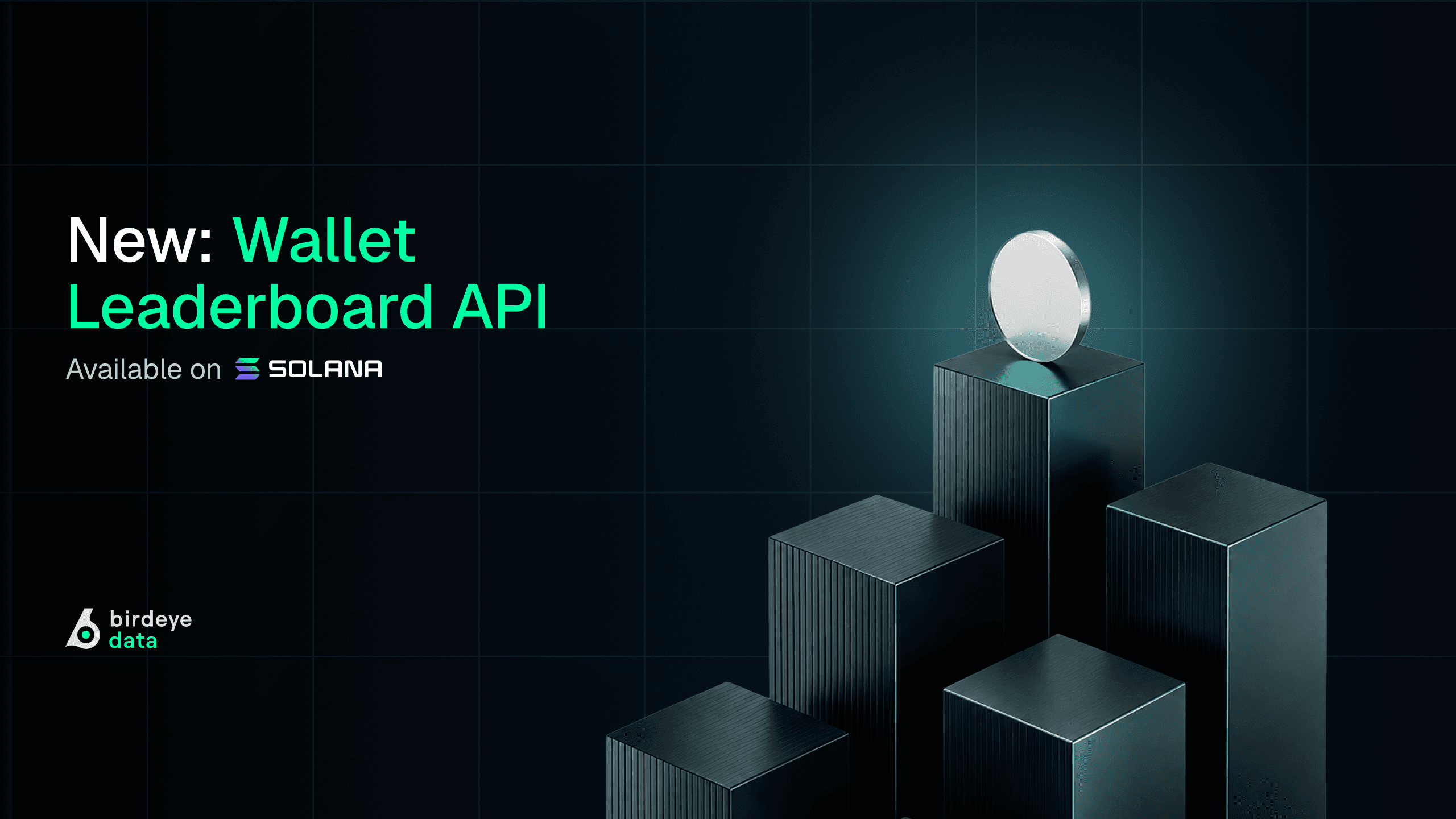New API: Wallet Leaderboard – Rank Top Solana Wallets by Total Asset Value