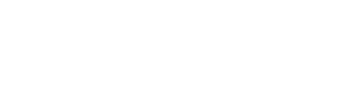 Birdeye research