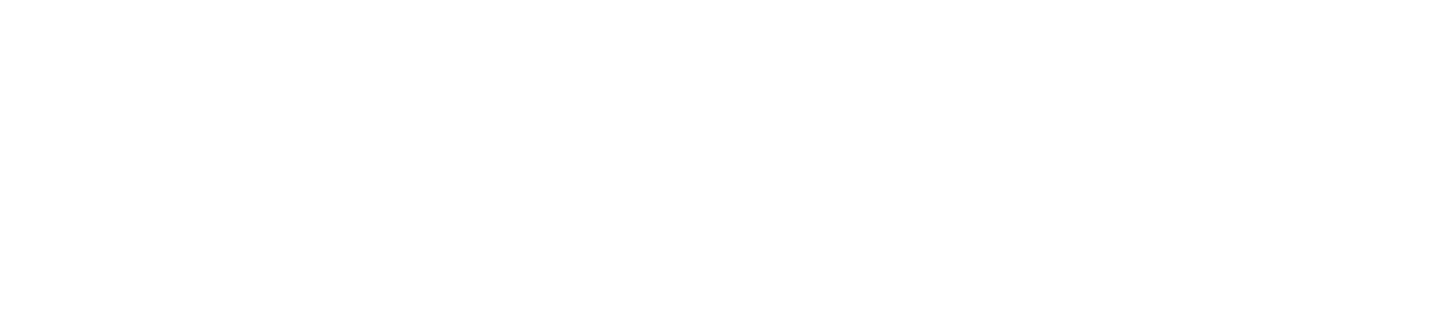 partner 2