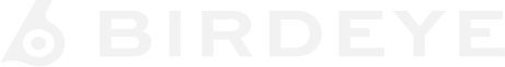 Birdeye logo